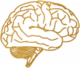 Gold illustration of a brain profile.